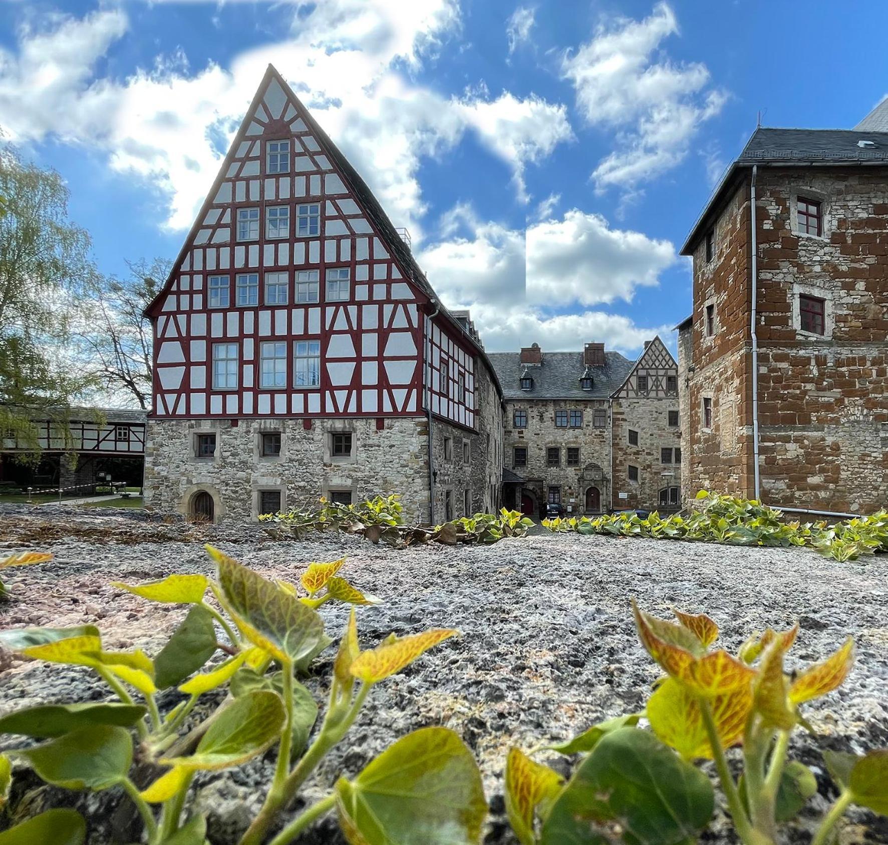 Schloss Beichlingen Экстерьер фото