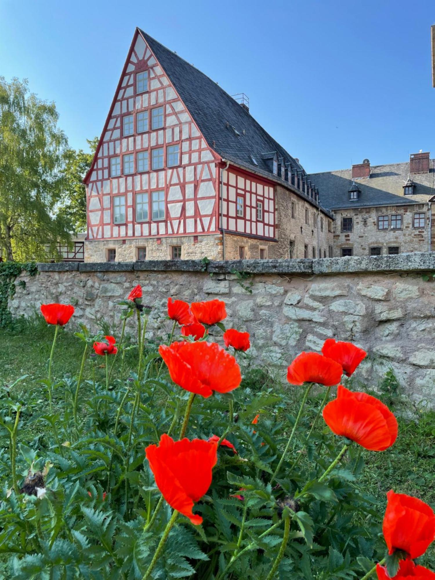 Schloss Beichlingen Экстерьер фото