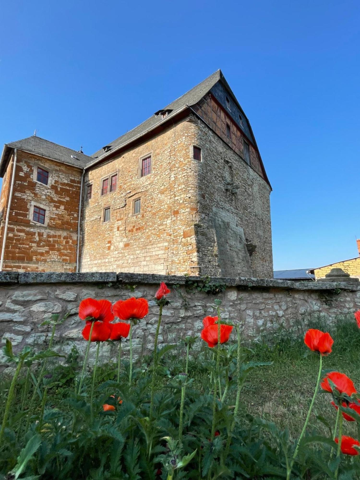 Schloss Beichlingen Экстерьер фото