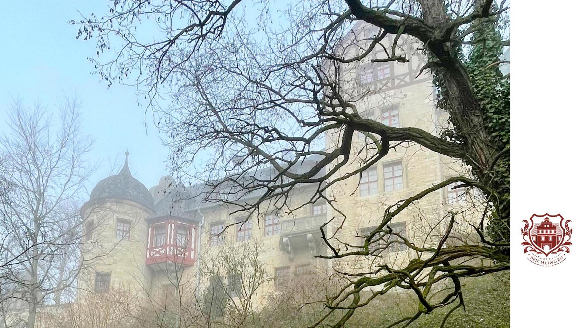 Schloss Beichlingen Экстерьер фото