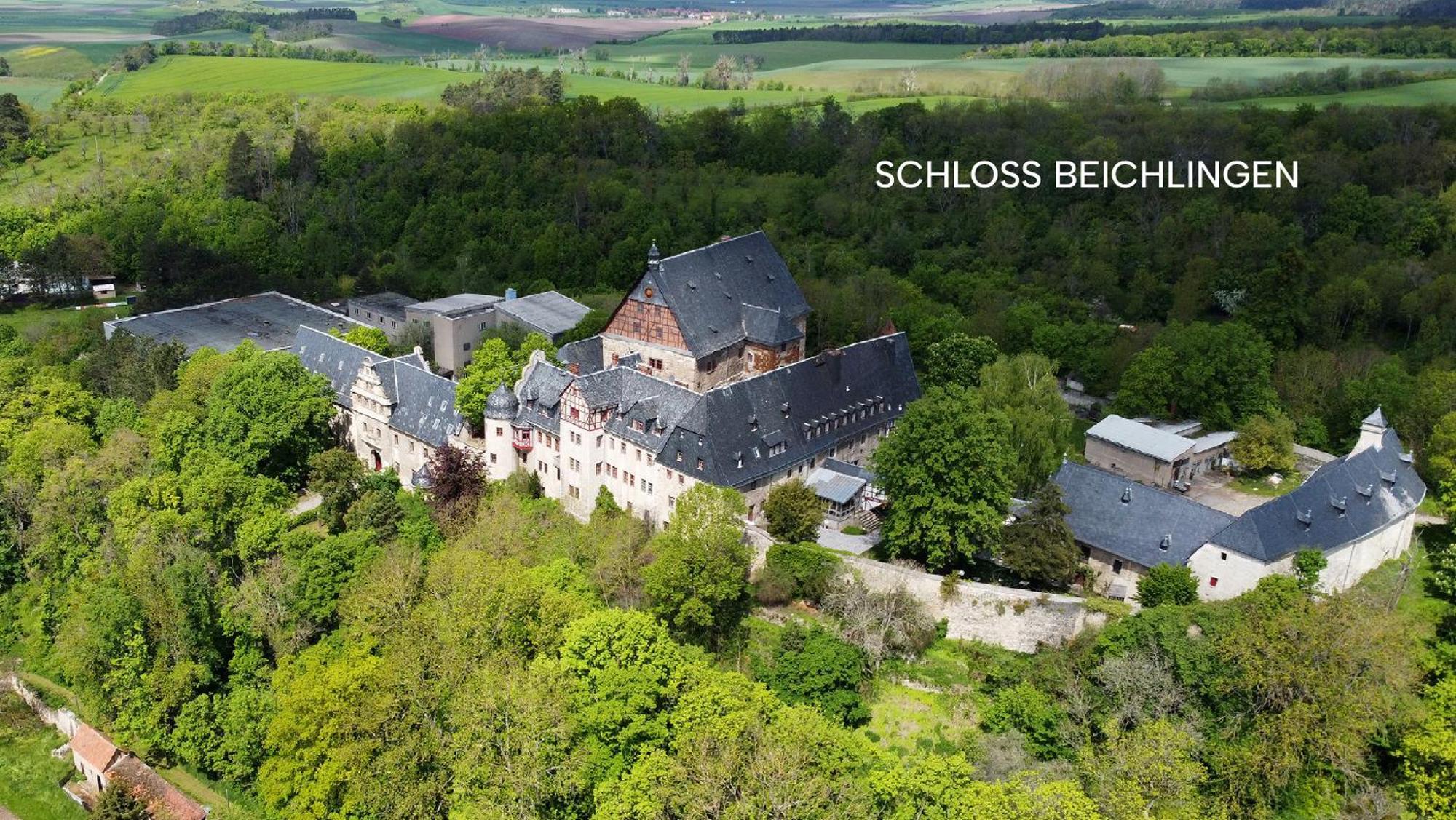 Schloss Beichlingen Экстерьер фото